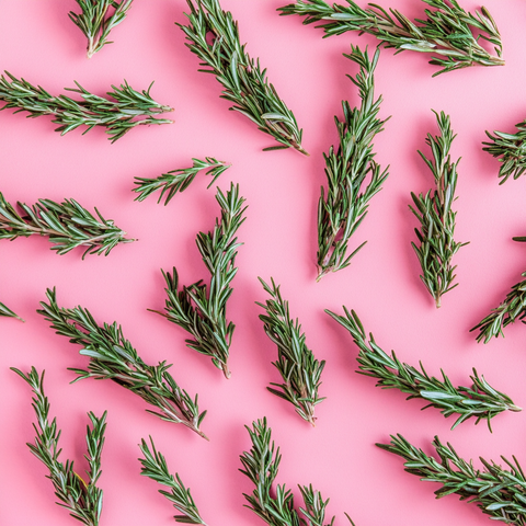 MADE WITH CASTOR OIL + ROSEMARY OIL