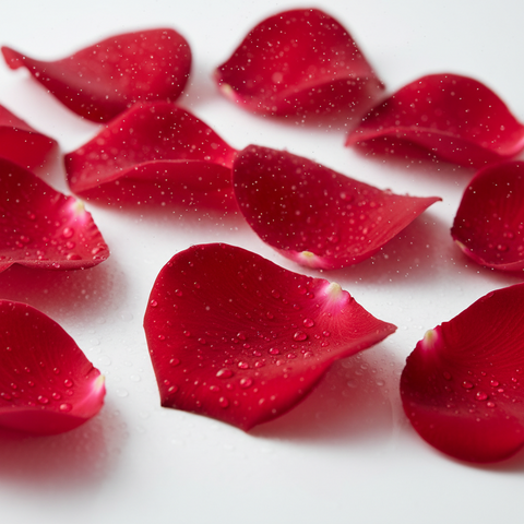 ROSE WATER